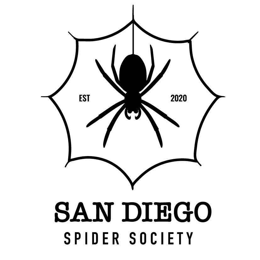 San Diego Spider Society Logo
